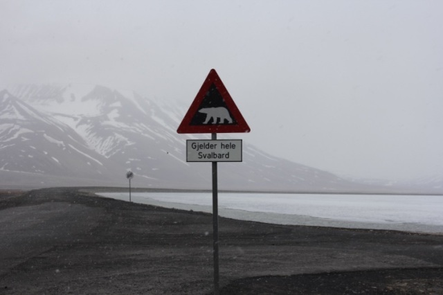 Famous Polar Bear sign, Longyearbyen, June 2013. Photo: Anna Stammler-Gossmann